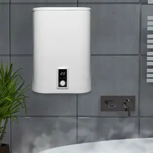 Scaldabagno elettrico istantaneo per doccia 100L scaldacqua elettrici per uso domestico