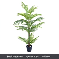 Palmier canne doré décoratif de 1,80 m, plantes tropicales pour la maison, le bureau, l'hôtel, ornement paysager intérieur, service personnalisé