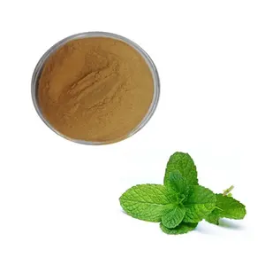 Organic Peppermint Extract Menthol Powder as Cosmetics Ingredients