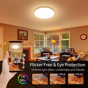 Moderne Ronde Slimme Led Plafondlamp Voor Woonkamer Indoor China 20W Decoratie Led Oppervlak Plafondlamp Led - Product Image 4
