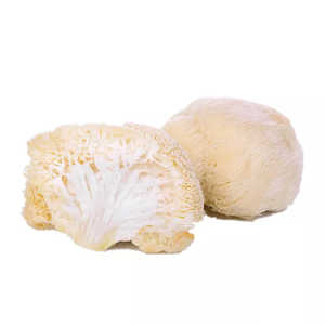 Extracto en polvo de seta de León seco orgánico, fabricante de polvo, 30%, 50% - Product Image 1