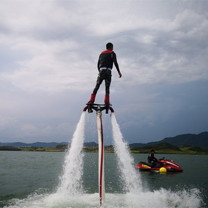 Venta al por mayor jet pack volar Junta - Product Image 5