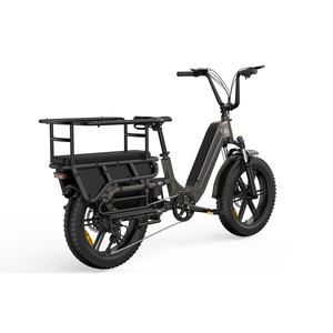 Eu Wh vélo électrique longue portée E vélo grande capacité vélo électrique adulte en alliage d'aluminium 250w 15ah <span class=keywords><strong>Cargo</strong></span> E vélos - Product Image 2