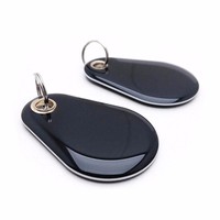 Étiquette NFC en gel rigide 13,56 MHz MIFARE DESFire EV1 2K 4K 8K Passive Pendentif en époxy Porte-clés RFID Étiquette NFC avec anneau en fer