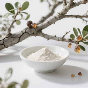 Чистый натуральный экстракт Longsheng <span class=keywords><strong>Boswelia</strong></span> <span class=keywords><strong>Serrata</strong></span>, порошок, экстракт ладана в банку и вакуумная упаковка - Product Image 4