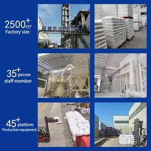 Poudre de chaux hydratée à faible teneur en <span class=keywords><strong>métaux</strong></span> lourds pour les applications dans l'industrie des additifs alimentaires et de la transformation alimentaire - Product Image 5