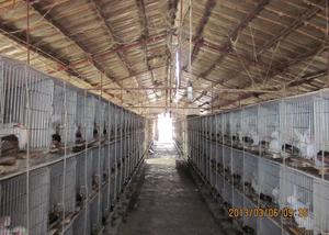 Bán buôn bền prefab ngành công nghiệp cường độ cao Thiết kế kết cấu thép hội thảo cho thức ăn chăn nuôi nhà máy - Product Image 5