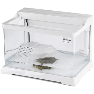 망그로브 습지 파충류 생태 거북이 원통형 수족관 유리 어항 - Product Image 1