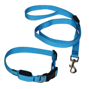 Classic Solid Led Nylon <b>Dog</b> Collar and <b>Leash</b> Set - Product Image 1