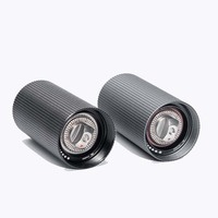 Moulin à café manuel portable mini en acier inoxydable avec meule en céramique, manivelle, capacité de 20 g