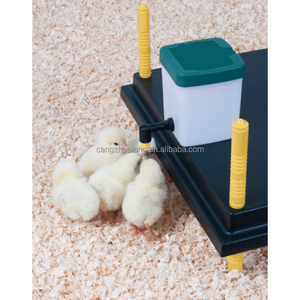 Zz 0.5L thép không gỉ động vật gặm nhấm núm vú uống rượu lồng 1L nhựa tự động chai nước Thỏ - Product Image 5