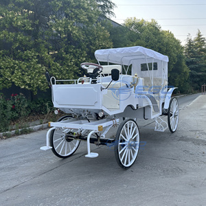 Voiture électrique de tourisme de style classique vintage, chariot royal blanc, véhicule de tourisme personnalisé de style européen à vendre - Product Image 4
