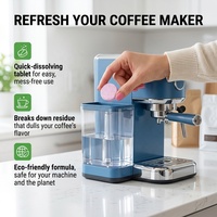 Tablettes détartrantes pour machine à café OEM ODM personnalisées, nettoyant effervescent professionnel de qualité alimentaire pour machine à expresso universelle
