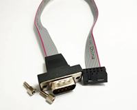 Cable Plano IDC Personalizado FC-10P de 2.0mm con Conector Hembra DB9, 30CM, Arnés de Cableado Automotriz RS232, Carcasa de PVC/ABS, GM