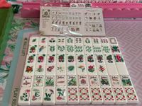 Jeu de Mahjong de voyage de luxe américain en acrylique, thème Forêt tropicale, 36 mm, créatif, portable, jeu de table, tuiles cadeaux