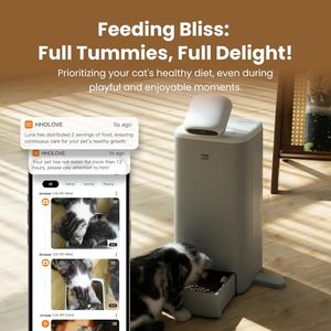 HHOLOVE Smart Cat <span class=keywords><strong>Companion</strong></span> <span class=keywords><strong>Robot</strong></span> 360 ° Caméra de vue pour animaux de compagnie Mangeoire automatique pour chat - Product Image 5