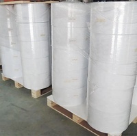 Rollos Jumbo de Etiquetas Semibrillantes de 1000 mm de Alta Calidad Directo de Fábrica para Etiquetas de Código de Barras