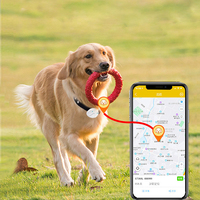 Collier de suivi de chat GPS étanche Tractive extérieur dispositif de suivi de chien de compagnie intelligent traqueur de localisation Anti-perte pour chiens