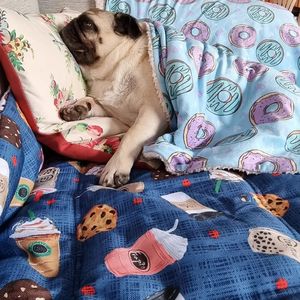 ผ้าห่มสุนัขพิมพ์ลายผ้าสักหลาดขนแกะขนาดออกแบบได้ตามต้องการ - Product Image 5