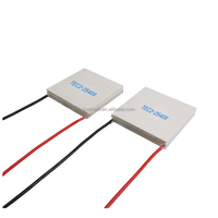 Module Peltier 12V TEC2-25408 – Kit de Refroidissement Thermique pour Climatiseur, Cellule de Réfrigération TEC, Dispositif Dissipateur de Chaleur, Refroidisseur Thermoélectrique