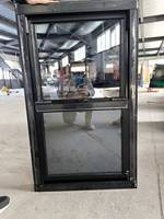 Fenêtre coulissante verticale à double battant en aluminium sur mesure avec moustiquaire en acier inoxydable pour usage extérieur, installation facile