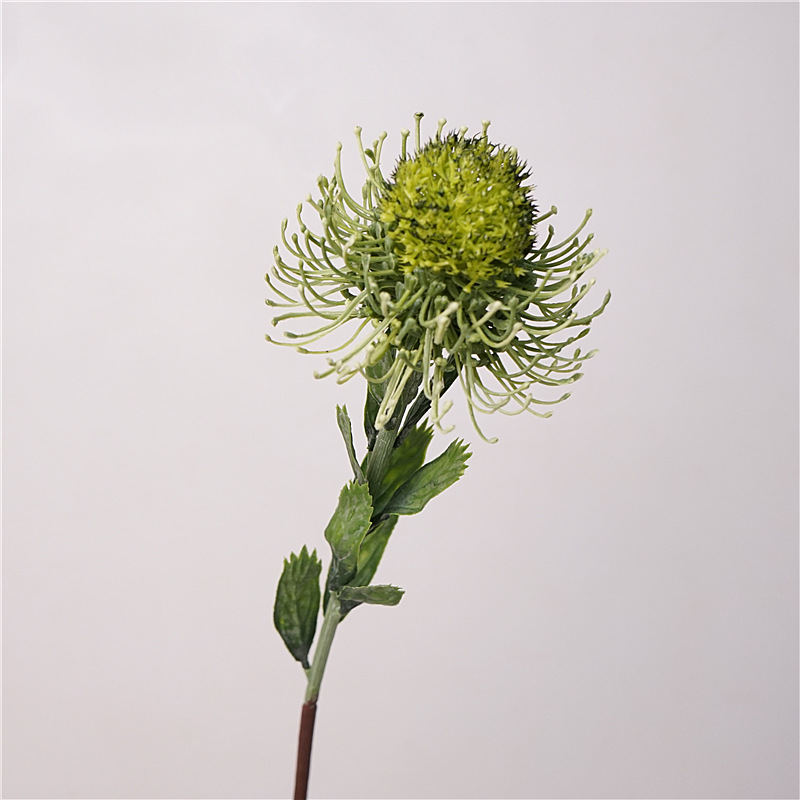Menta