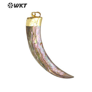 WT-JP063 Pisau Besar Bentuk Cangkang Abalon dengan Tutup Emas Panjang Bulan Wanita Kalung Liontin Cangkang Laut Alami Liontin Tanduk - Product Image 1