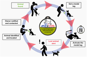 ペット識別のためのユニークなQRコードの異なるID番号でプログラム可能なNFC犬のタグ - Product Image 6