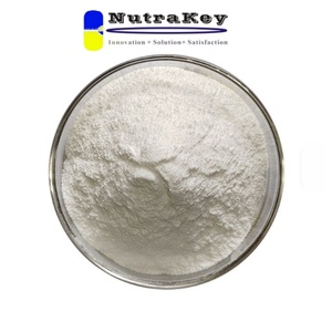 <span class=keywords><strong>Alpha</strong></span> GPC 50% 粉末，以 DCP 为载体，经济高效的认知和运动营养成分 - Product Image 3