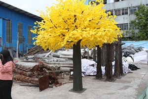 Alberi di <span class=keywords><strong>Ginkgo</strong></span> Biloba Artificiali Personalizzati con Foglie Gialle per Decorazioni Paesaggistiche Autunnali - Product Image 2