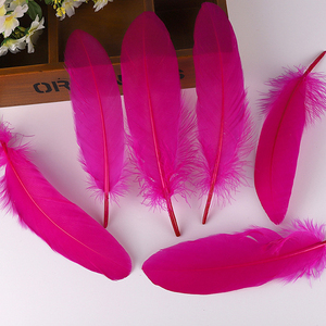 Pluma de ganso 15-20cm para artesanía de Carnaval atrapasueños ACCESORIOS DE DISFRACES - Product Image 5