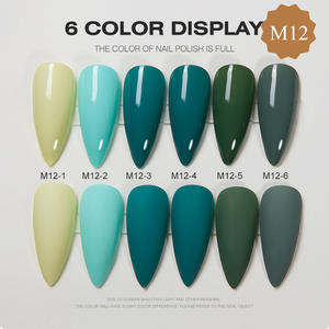 AILANUO Nail Factory's 6-Color Nail Gel Polish Set para Otoño Invierno OEM personalizado marca privada con lámpara LED botella Material imán - Product Image 4