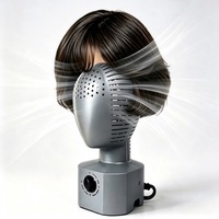 Sèche-perruques à basse température YANAN JSYN-SH -G800W, séchage doux, 45-50°C, circulation d'air à 360° pour perruques en cheveux naturels, synthétiques, casques et chapeaux
