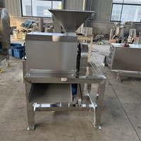 Industriële horizontale verticale klei-kloppende machine motor capaciteit sapcentrifuge voor tomaten verse jujubes Phyllanthus Emblica