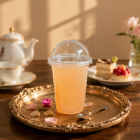 Gobelets jetables en plastique de 16 oz, lot de 50, sans BPA, avec couvercles dôme et pailles noires, pour smoothies, jus frais, bubble tea et préparation de repas