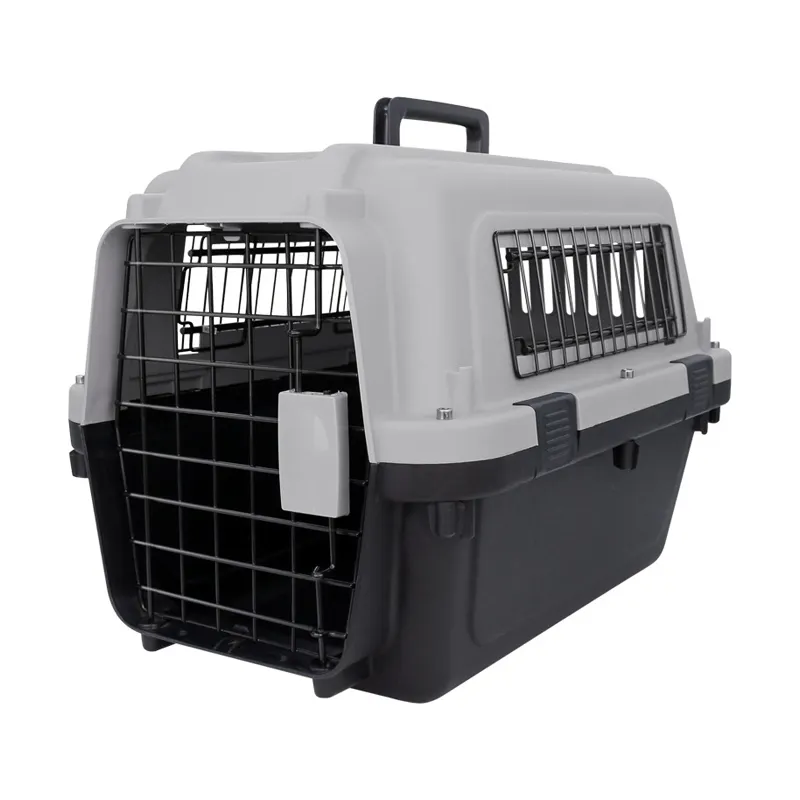 Standart yan nefes örgü tasarım kedi köpek hava konsinye kutusu basit kıdemli Pet taşıma çantası