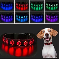 Collier lumineux pour chien en nylon RGB multicolore avec empreintes de pattes gravées par LED et laisse