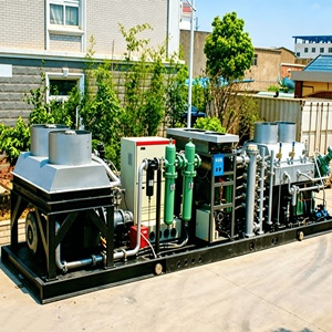 Generador de Nitrógeno por Membrana Confiable para Alimentos, Máquina de Nitrógeno por Membrana al 99.5% para la Industria de Bebidas - Product Image 1