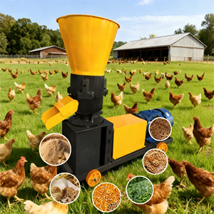 Nova Máquina de Pellets de Ração de Alta Eficiência para Aves/Gado, Pelletizadora Multimaterial com Capacidade de 800kg/h, Pellets Personalizáveis - Product Image 2