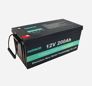<span class=keywords><strong>Batterie</strong></span> au phosphate de fer de lithium <span class=keywords><strong>Batterie</strong></span> solaire LiFePO4 Pack de batteries 100Ah 200Ah 300Ah 12V <span class=keywords><strong>Batterie</strong></span> lithium-ion - Product Image 5