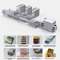 Machine entièrement automatique pour l'agencement des bâtonnets de viande pour chiens/chats sur une ligne de cartonnage