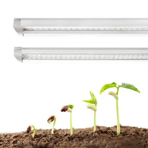 Luz led para crescimento lm301h t8, lâmpada led de espectro completo para agricultura vertical e horticultura, em oferta, 2023