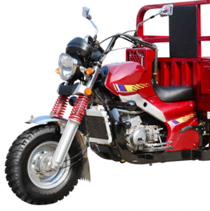 Tricycle cargo nigérian à essence T-rex, moto à trois roues, <span class=keywords><strong>transport</strong></span>, moto à trois roues - Product Image 4