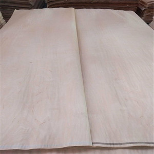 Plaquage à noyau <span class=keywords><strong>d</strong></span>'acacia en <span class=keywords><strong>bois</strong></span> et caoutchouc, 1 pièce, accessoire de <span class=keywords><strong>d</strong></span>écoration pour le visage, Eucalyptus - Product Image 5