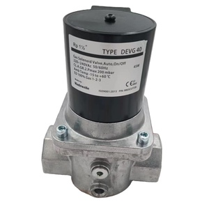 Débitmètre transformateur DEVG15 DEVG20 DEVG25 DEVG40 DEVG50 pour stock Madewelle DEVG50 - Product Image 1