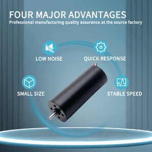 12V 24V 16 Mét DC coreless động cơ tbc1640 7300 vòng/phút 10000 vòng/phút Micro không chổi than Coreless động cơ - Product Image 2