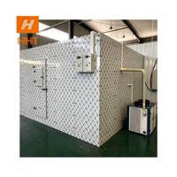 Porte de chambre froide commerciale coulissante simple pour congélateur, porte battante isolée pour chambre froide à viande, prix Malaisie