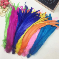 Expédition rapide, plusieurs tailles, plumes de queue de coq noires teintes artificiellement, sélectionnées, décoration de coiffe de carnaval, en vrac