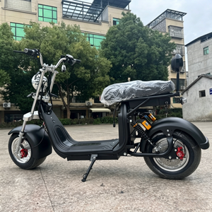 Scooter électrique Citycoco 2000W pour adultes - Batterie lithium 60V - Scooter à pneus larges - Scooter tout-terrain hors route avec homologation EEC/COC - Product Image 4
