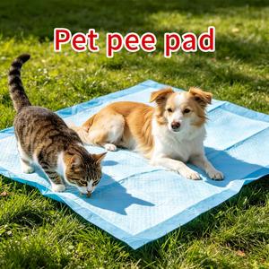 Factory Price 6-Layer <b>Waterproof</b> Pet Urine <b>Pads</b> Deodorant Feature Disposable Dog Training Mats Private Label OEM Supply - Product Image 2